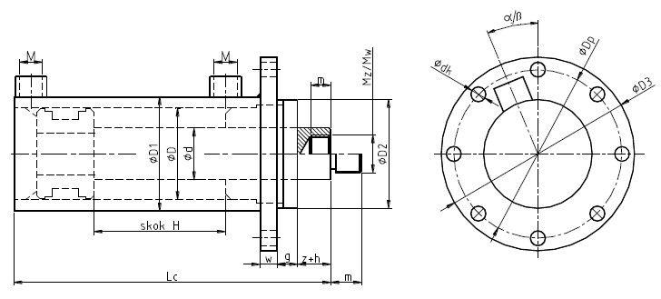 whc-5-silownik-01